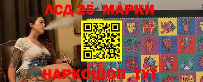 гидропоника Пенза