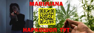 гидропоника Пенза