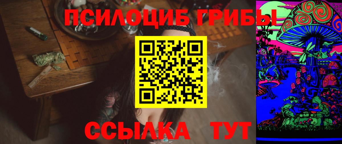 Псилоцибиновые грибы MAGIC MUSHROOMS  Вход с VPN  Чехов 